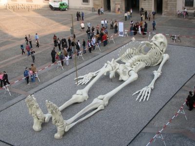 مجسمه ای بسیار بزرگ از اسکلت انسان (6 عکس)