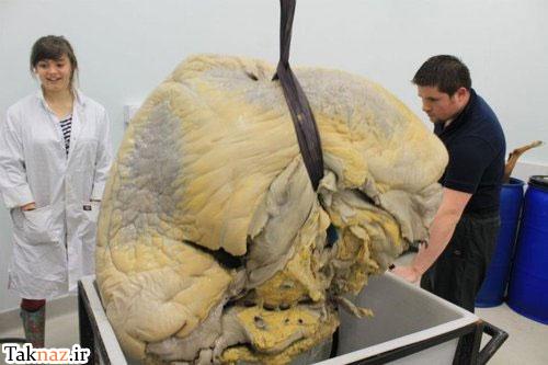 به نظر شما این تصاویر مربوط به چه چیزی می تواند باشد ؟