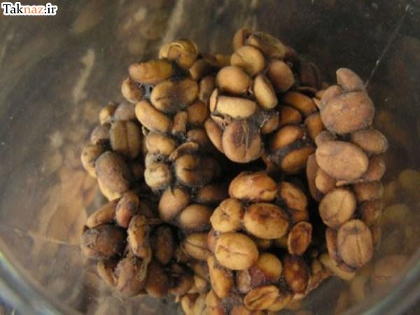 چندش آورترین غذاهای جهان !! (+ تصاویر ) چندش آورترین غذاهای جهان !! (+ تصاویر )