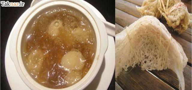 چندش آورترین غذاهای جهان !! (+ تصاویر ) چندش آورترین غذاهای جهان !! (+ تصاویر )