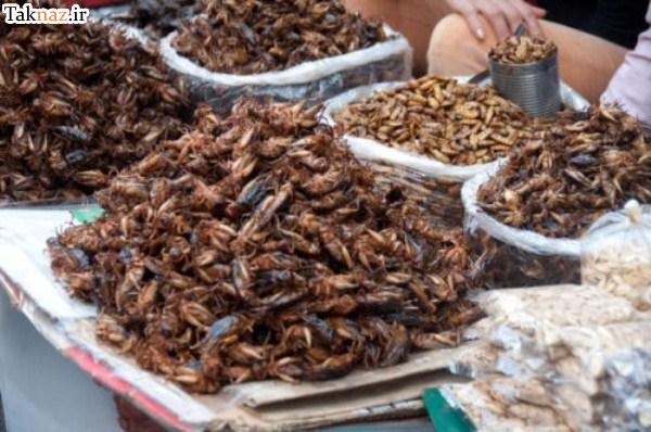 چندش آورترین غذاهای جهان !! (+ تصاویر ) چندش آورترین غذاهای جهان !! (+ تصاویر )