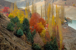 پاییز پاییز