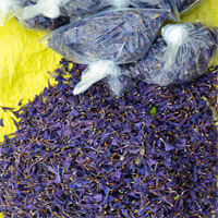 گل گاو زبان