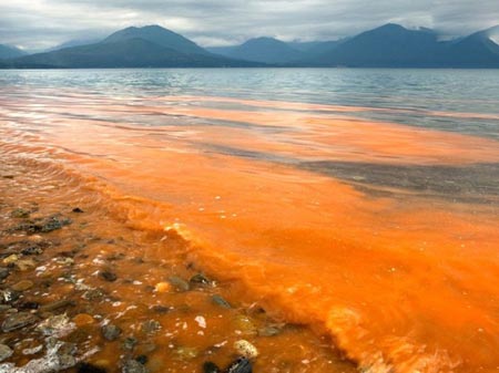 زیباترین طبیعت ها,طبیعت گردی,عکسهای طبیعت زیباترین طبیعت ها,طبیعت گردی,عکسهای طبیعت