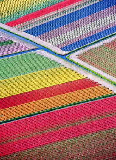 زیباترین طبیعت ها,طبیعت گردی,عکسهای طبیعت زیباترین طبیعت ها,طبیعت گردی,عکسهای طبیعت