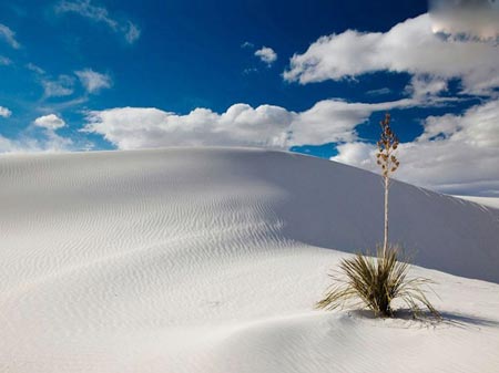 زیباترین طبیعت ها,طبیعت گردی,عکسهای طبیعت زیباترین طبیعت ها,طبیعت گردی,عکسهای طبیعت