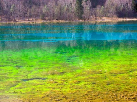 زیباترین طبیعت ها,طبیعت گردی,عکسهای طبیعت زیباترین طبیعت ها,طبیعت گردی,عکسهای طبیعت