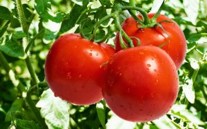 Home Remedies By Using Tomato