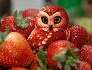 the-world_s-top-10-best-photoshopped-images-of-animals-made-of-fruit-6