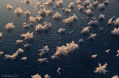 آشنایی با 10 پدیده ی عجیب اقیانوسی + تصاویر آشنایی با 10 پدیده ی عجیب اقیانوسی + تصاویر