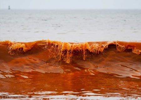 آشنایی با 10 پدیده ی عجیب اقیانوسی + تصاویر آشنایی با 10 پدیده ی عجیب اقیانوسی + تصاویر