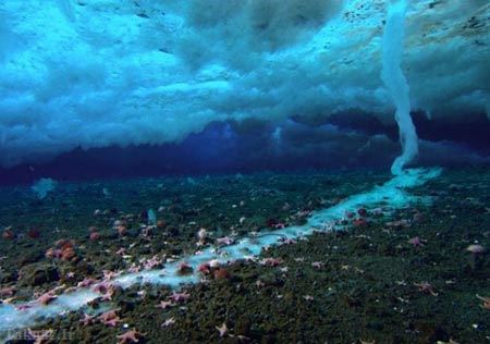 آشنایی با 10 پدیده ی عجیب اقیانوسی + تصاویر آشنایی با 10 پدیده ی عجیب اقیانوسی + تصاویر