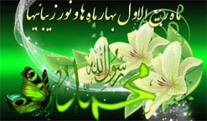 73088636895419607333