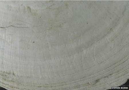 اخبار,اخبار علمی , باستانیترين اثر تاريخی اخبار,اخبار علمی , باستانیترين اثر تاريخی