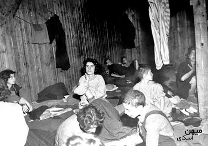 تیفوس تیفوس