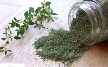 آویشن,خواص آویشن,خاصیت آویشن,خواص درمانی آویشن آویشن,خواص آویشن,خاصیت آویشن,خواص درمانی آویشن