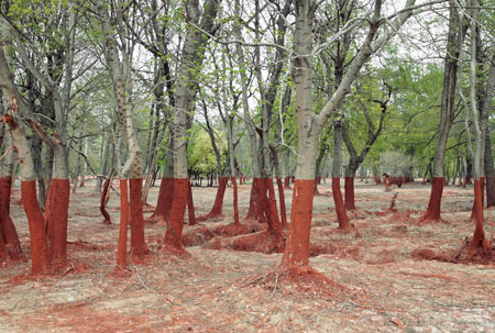 مکانهای شگفت انگیز,عجایب طبیعت,دیدنی های جهان مکانهای شگفت انگیز,عجایب طبیعت,دیدنی های جهان