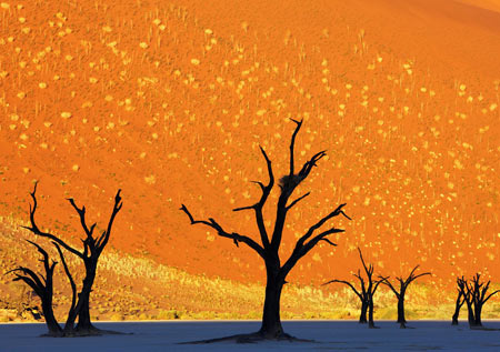 مکانهای شگفت انگیز,عجایب طبیعت,دیدنی های جهان مکانهای شگفت انگیز,عجایب طبیعت,دیدنی های جهان