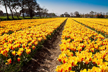 مکانهای شگفت انگیز,عجایب طبیعت,دیدنی های جهان مکانهای شگفت انگیز,عجایب طبیعت,دیدنی های جهان