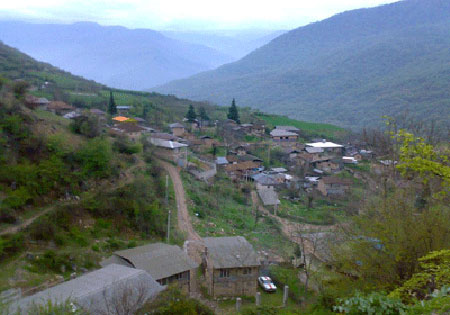 جنگل اَفراتَخته جنگل اَفراتَخته