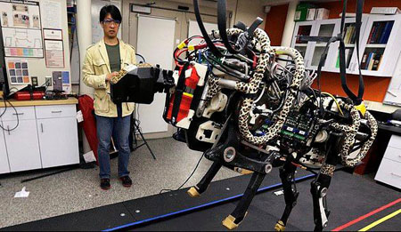 اخبار , اخبار علمی , سریعترین رباتهای جهان اخبار , اخبار علمی , سریعترین رباتهای جهان