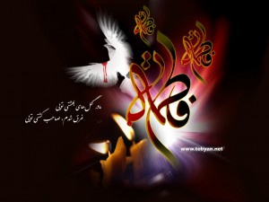 mga77sk10o9x03neaho5