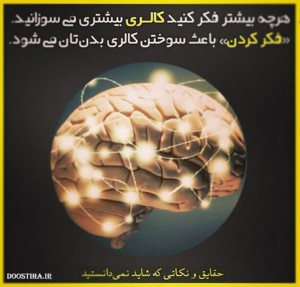 Doostiha-IR-Funny-Notes19-1