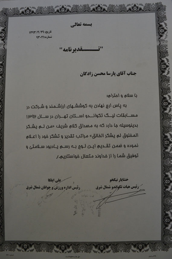 افتخارات پارسا در رشته تکواندو