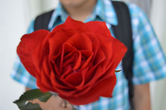 DSC_1486