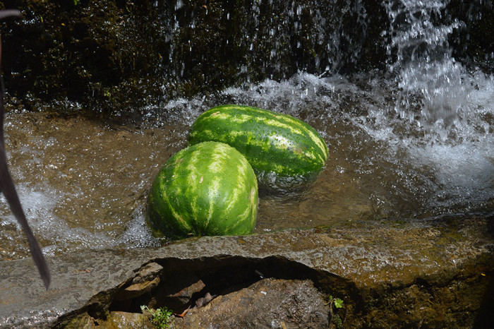 DSC_0658