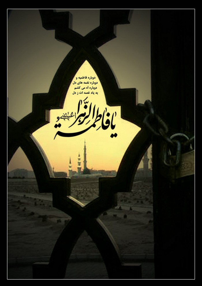 fatemieh26