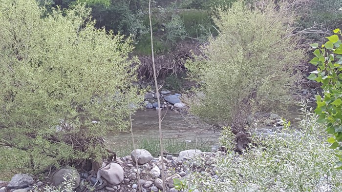 20180505_184745