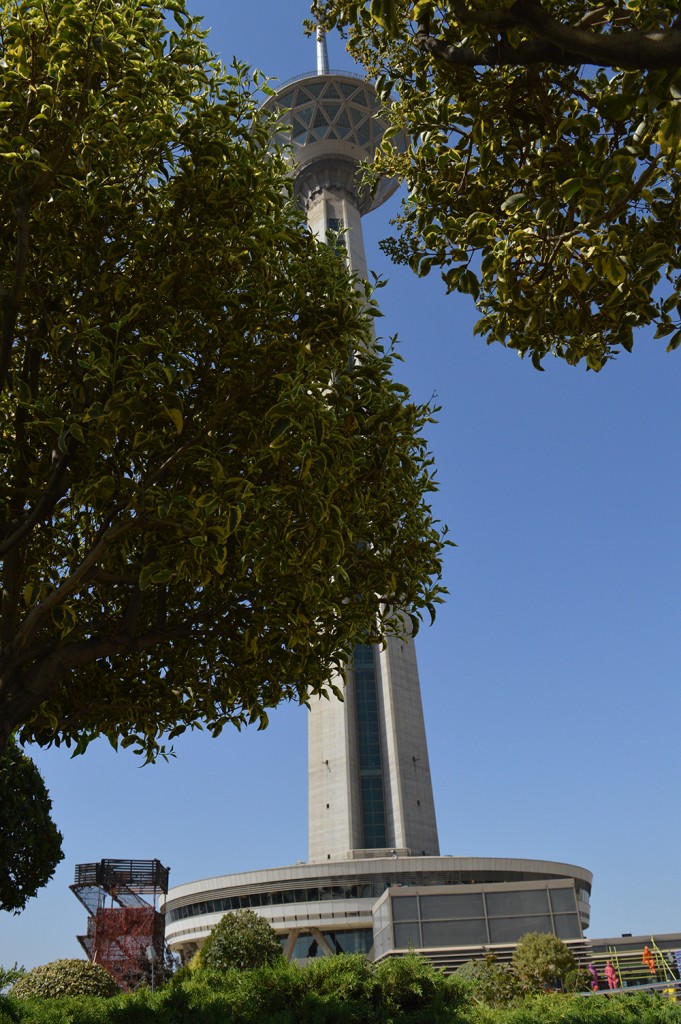 DSC_0129