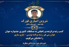 تصویر از راهیابی شروین امیاری به مرحله کشوری جشنواره خوارزمی